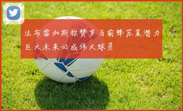 法布雷加斯称赞罗马前锋苏莱潜力巨大未来必成伟大球员